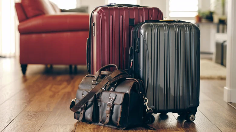 Overnight Essentials Bag for Moving