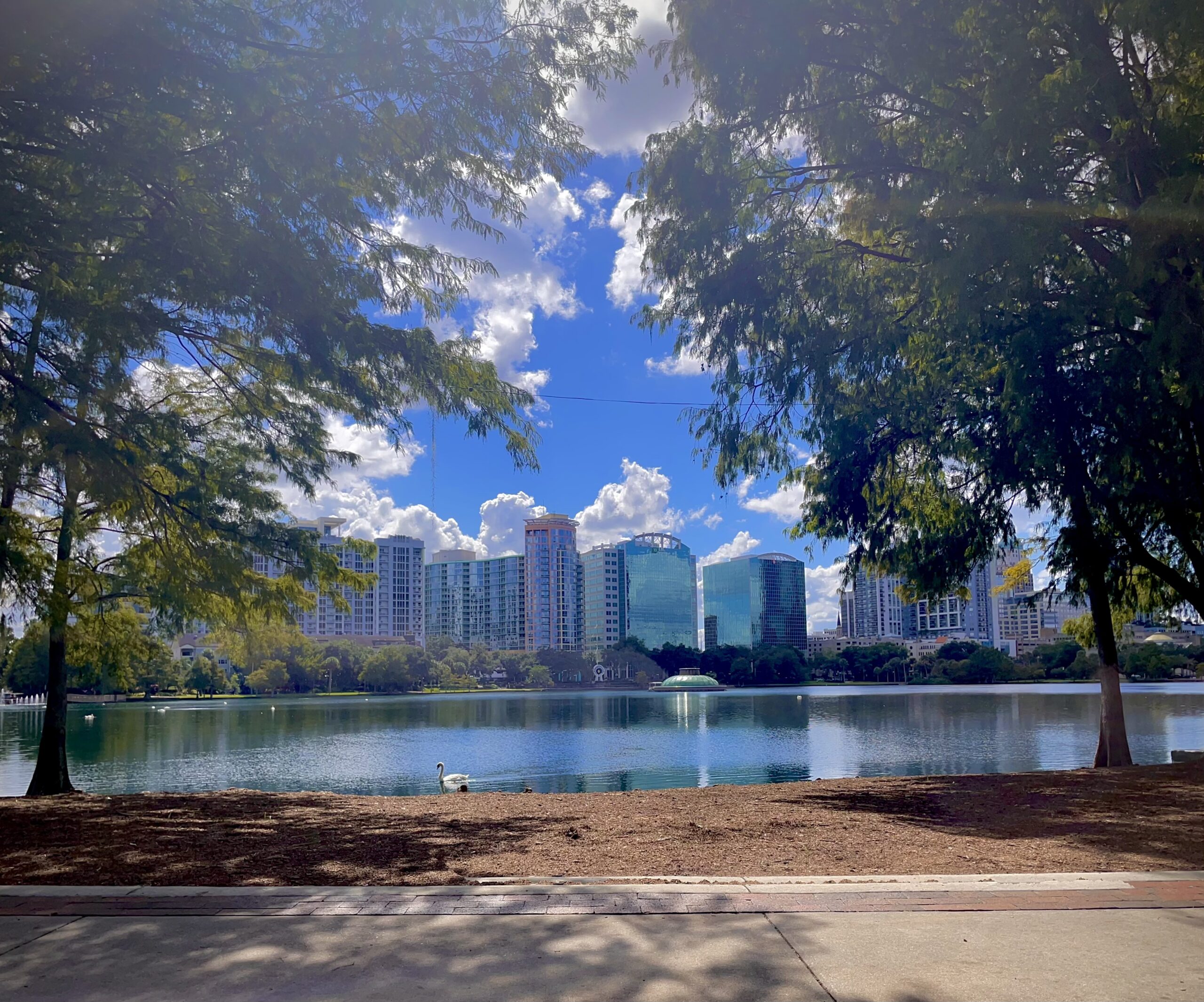 Lake Eola and the downtown Orlando skyline framed by trees